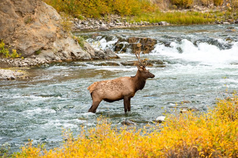 Best Bathroom Remodeling pros in Elk River, MN